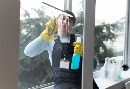 Nettoyage de vitres intérieures et extérieures à Chaniat